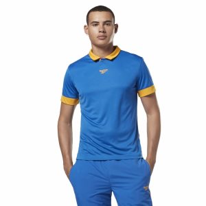 Reebok Classic Football Polo Sweatshirt Herren - HellBlau - DE 893-NPX